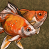 Goldfish Companions